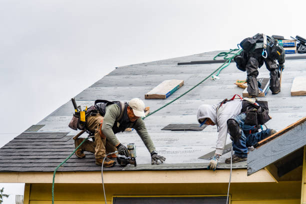 Professional Gutter Installation technician working in Springfield, NE